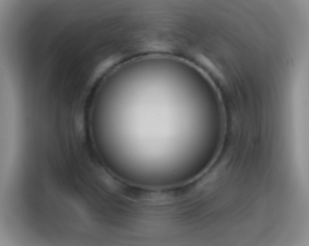 X0000113901307200910011334