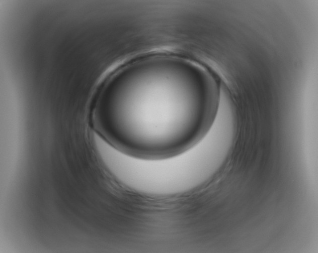 X0000113901308200910011334