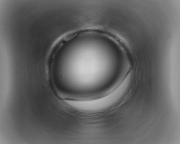 X0000113901310200910011334