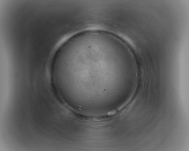 X0000113901311200910011334