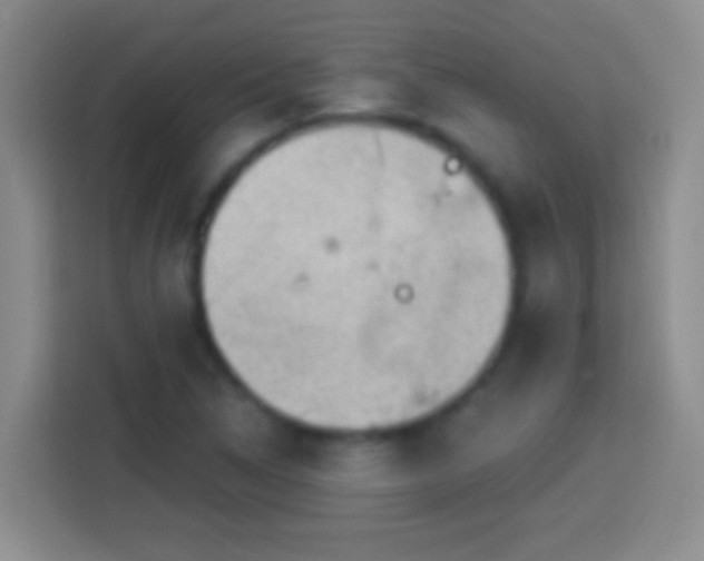 X0000113901314200910011334