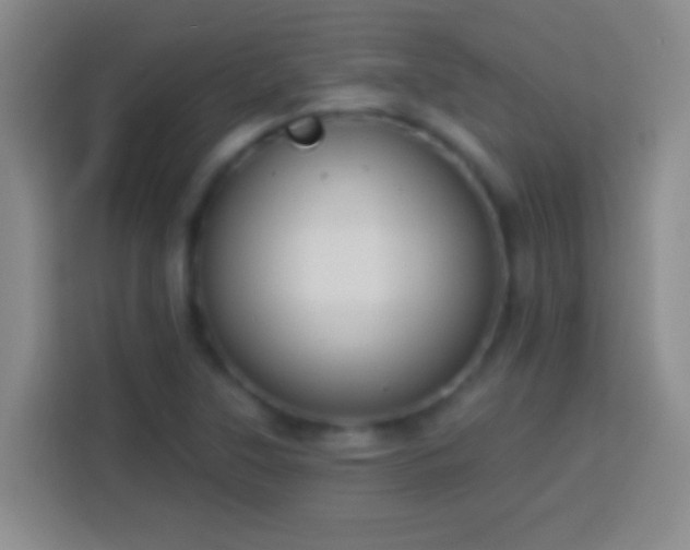 X0000113901315200910011335