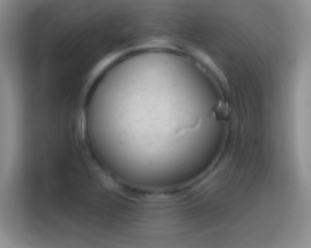 X0000113901320200910011335