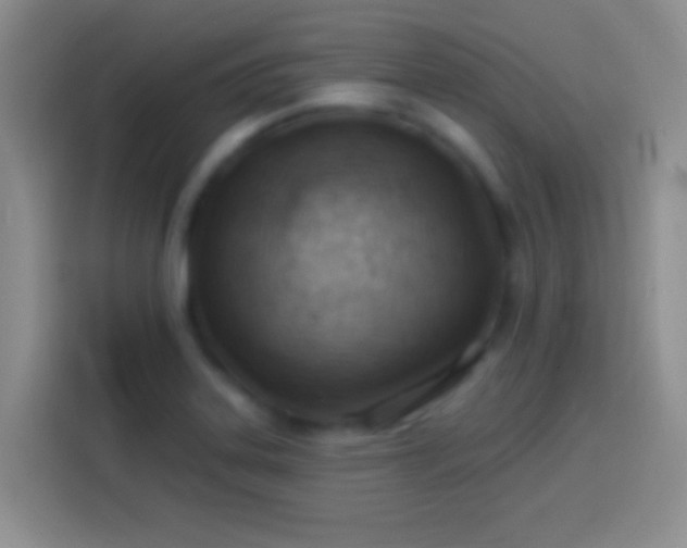 X0000113901323200910011335