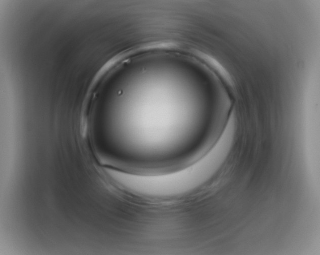 X0000113901324200910011335