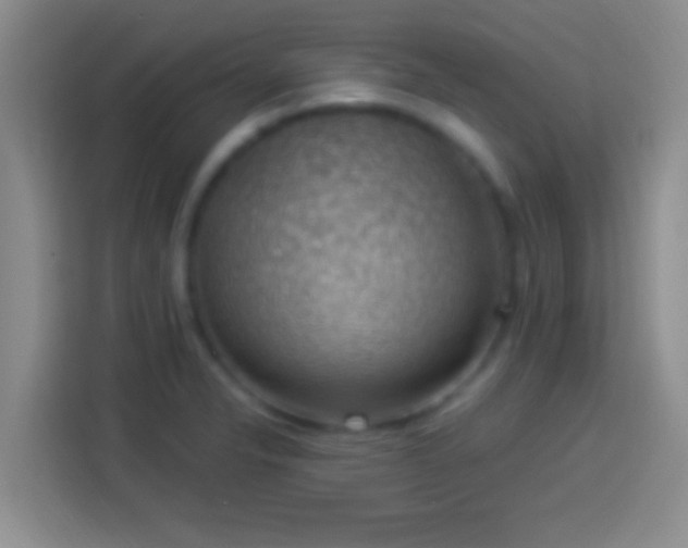 X0000113901326200910011335