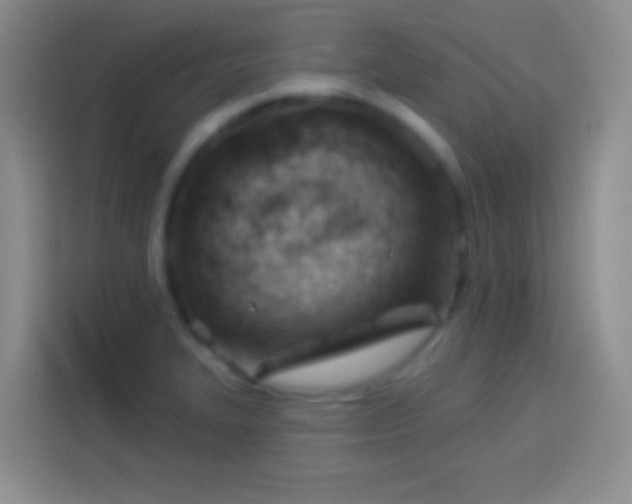 X0000113901327200910011335