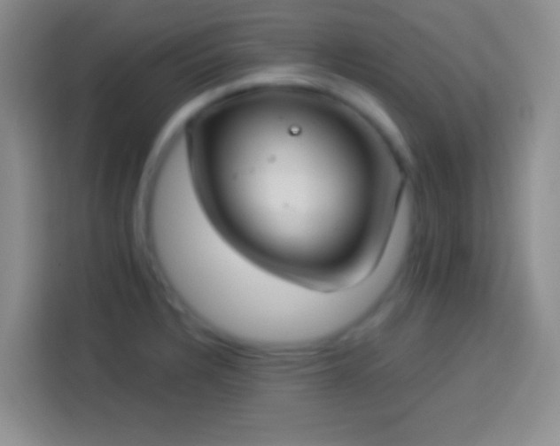 X0000113901328200910011335