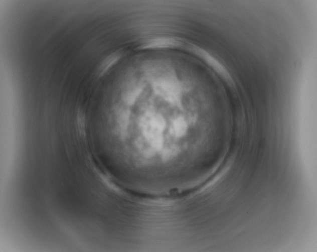 X0000113901329200910011335