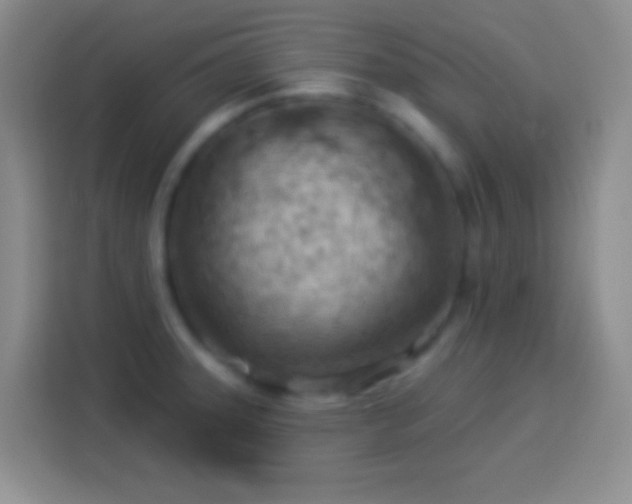 X0000113901331200910011335