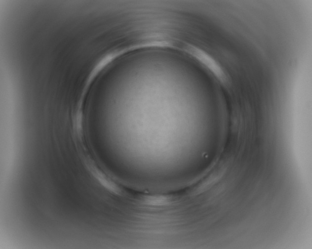 X0000113901332200910011335