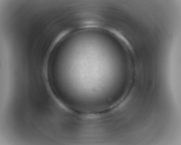 X0000113901333200910011335