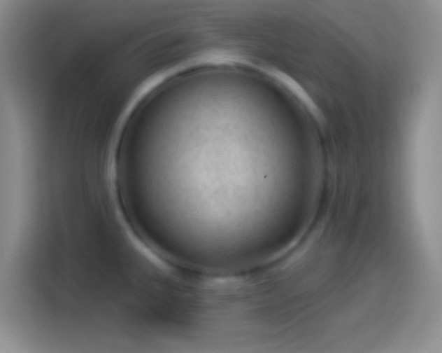 X0000113901335200910011335