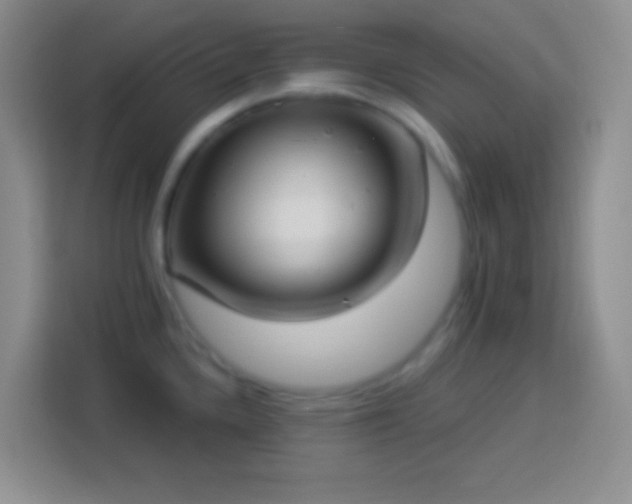 X0000113901336200910011335