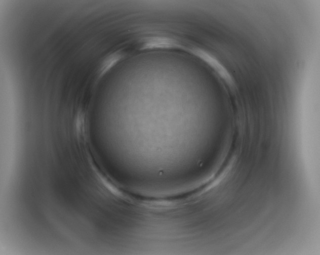 X0000113901337200910011335