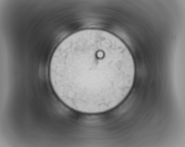 X0000113901338200910011335