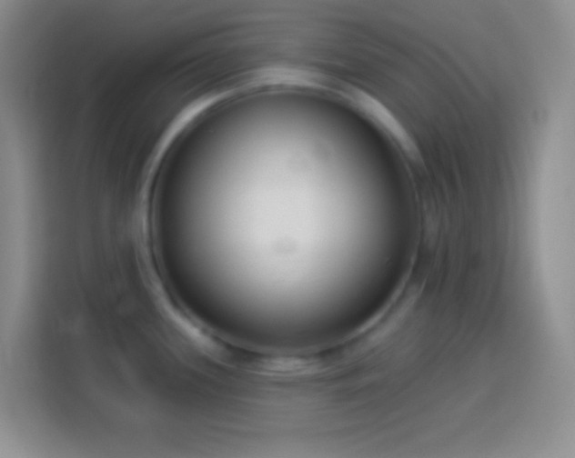 X0000113901339200910011335