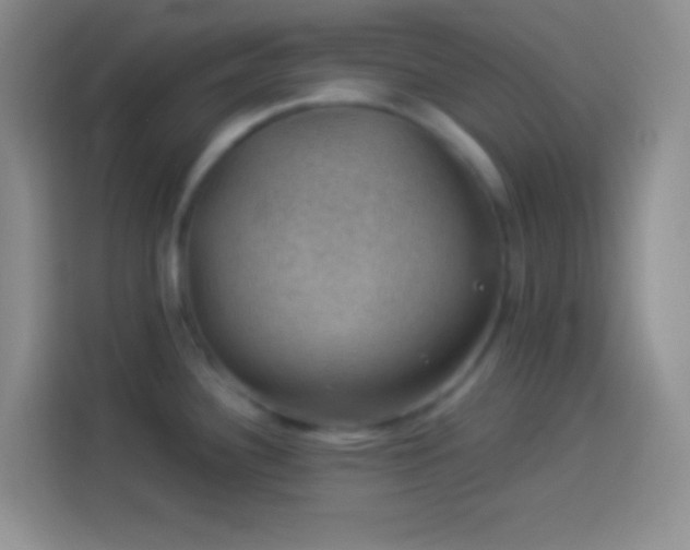 X0000113901340200910011335