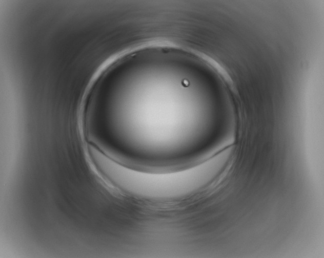 X0000113901342200910011335