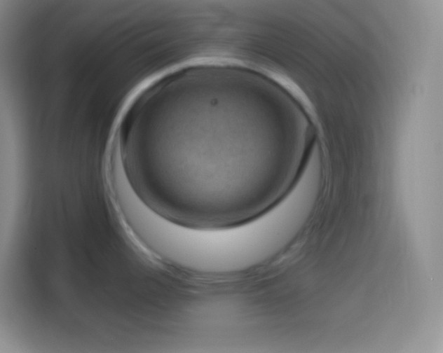 X0000113901344200910011335