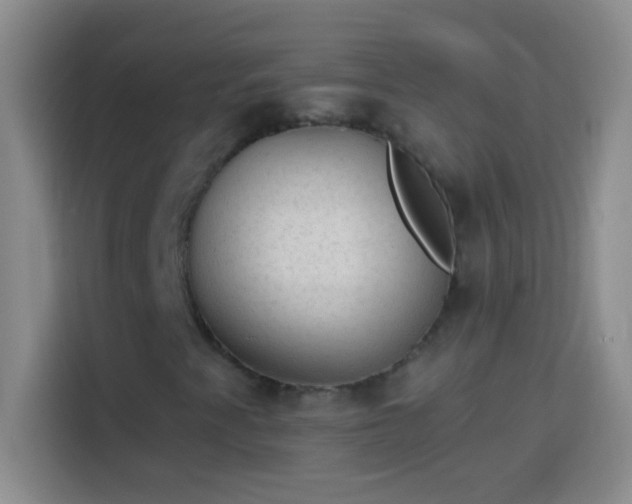 X0000113901345200910011334