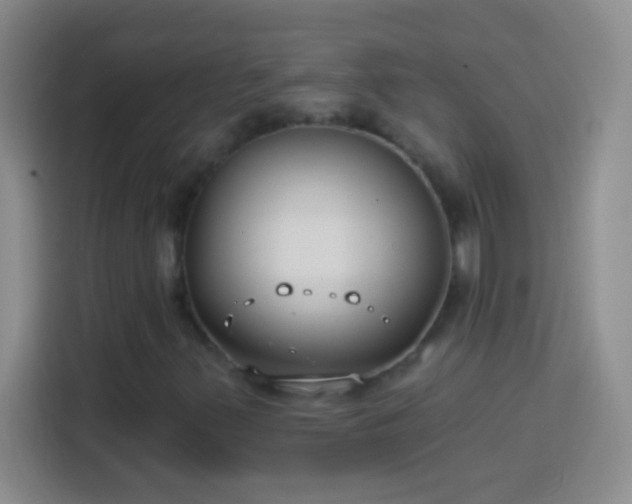 X0000113901347200910011334