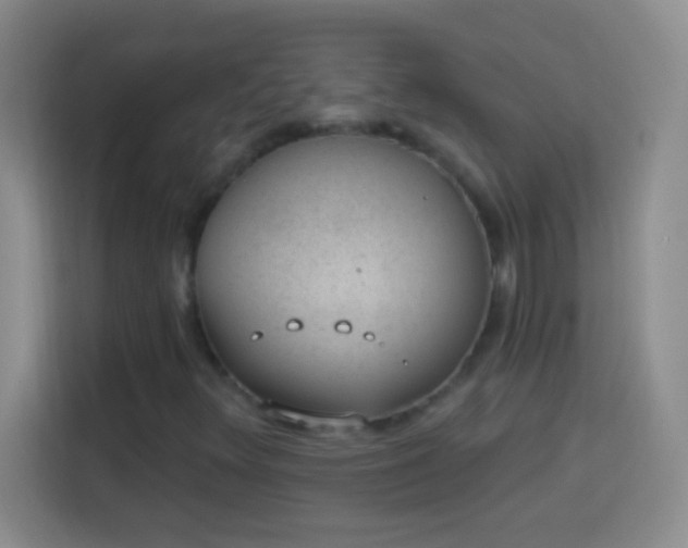 X0000113901348200910011334