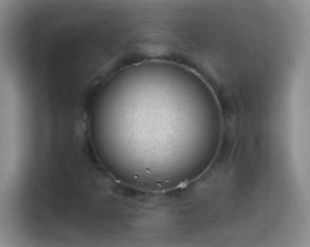 X0000113901349200910011334