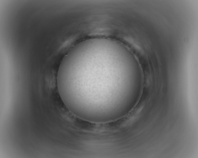 X0000113901350200910011334