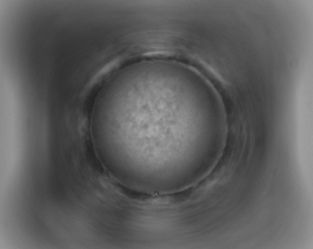 X0000113901351200910011334