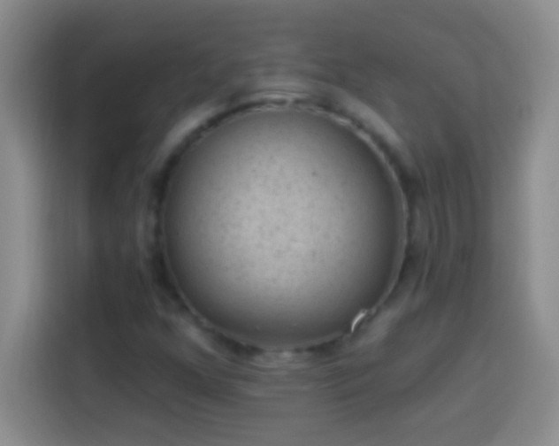 X0000113901352200910011334