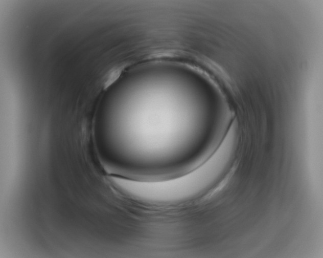 X0000113901353200910011334