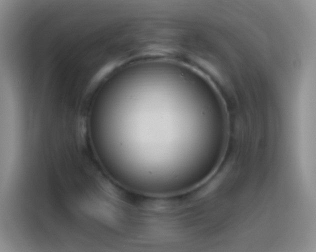 X0000113901355200910011334