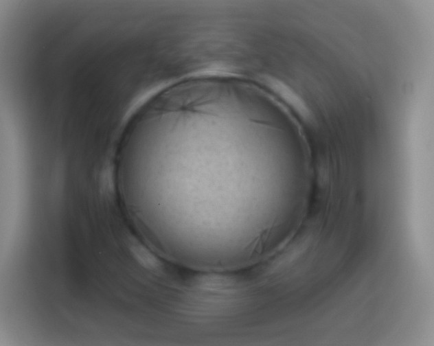 X0000113901356200910011334