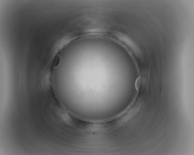 X0000113901357200910011334