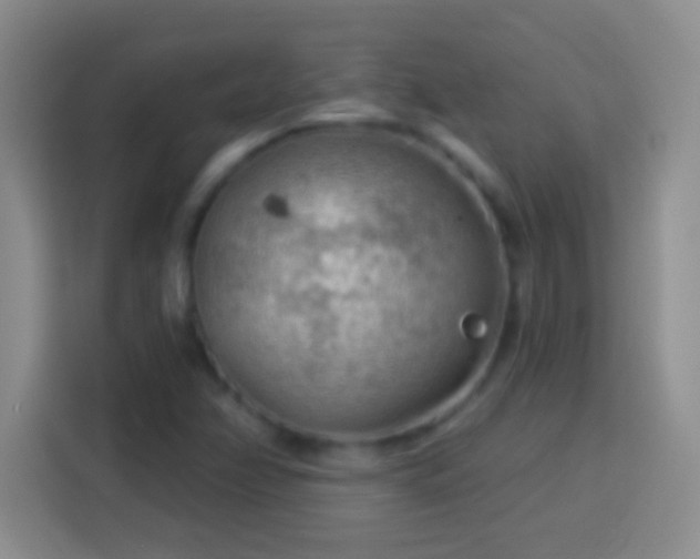 X0000113901358200910011334