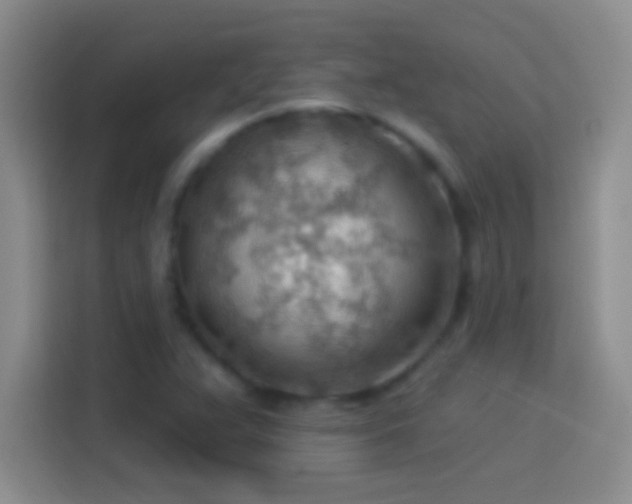 X0000113901359200910011334