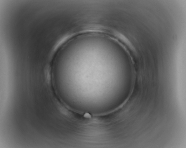 X0000113901360200910011334