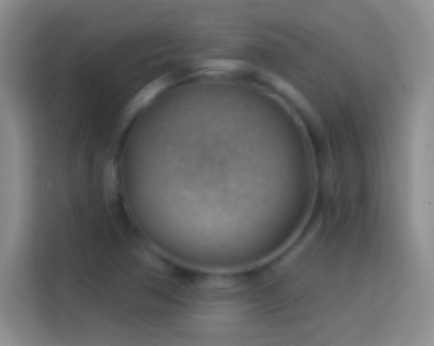 X0000113901362200910011334