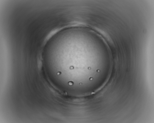 X0000113901363200910011334