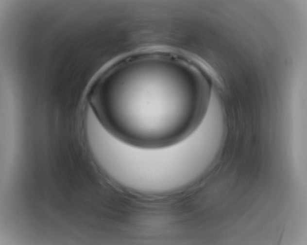 X0000113901364200910011334