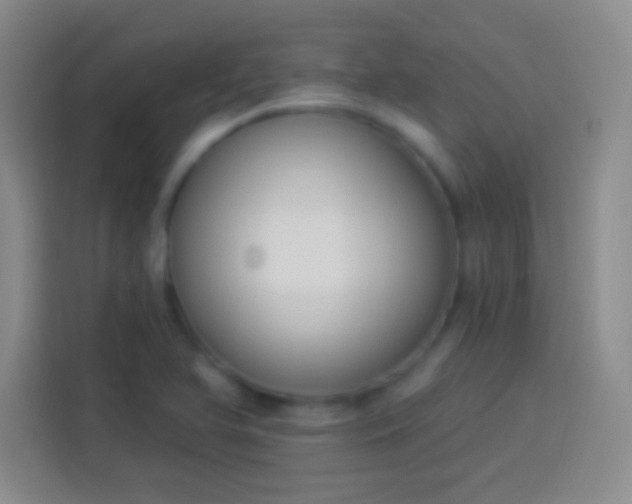 X0000113901366200910011334