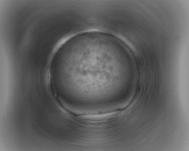 X0000113901367200910011334