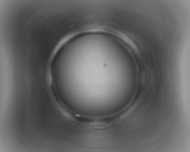 X0000113901368200910011334