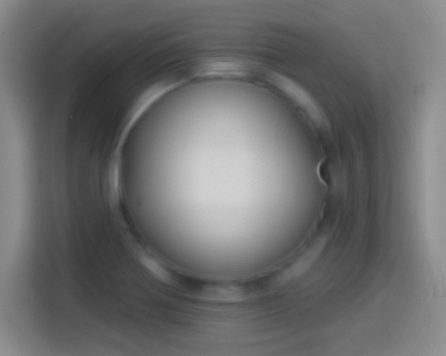 X0000113901370200910011334