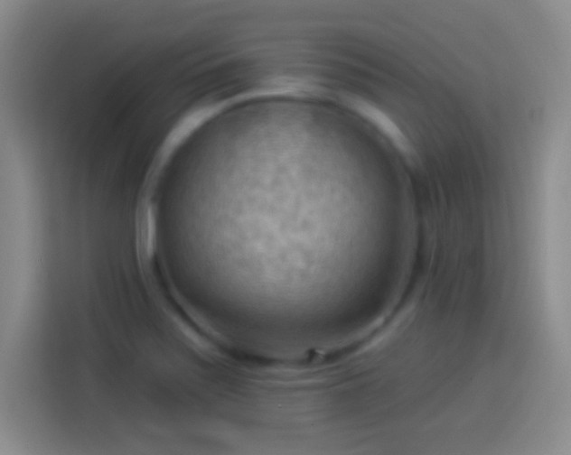 X0000113901371200910011334