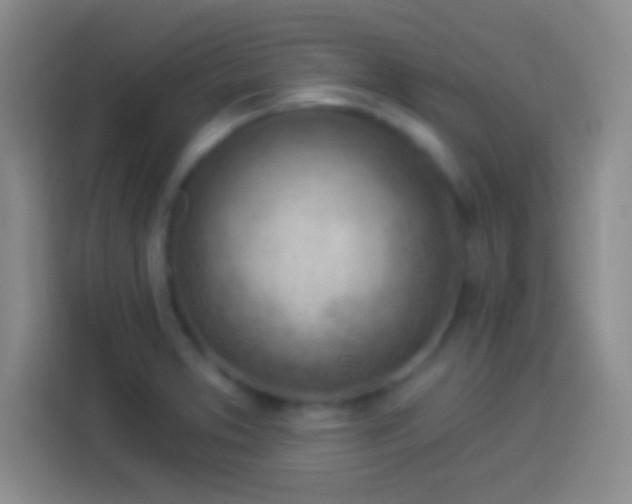 X0000113901373200910011334