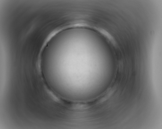 X0000113901374200910011334