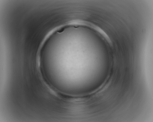 X0000113901376200910011334