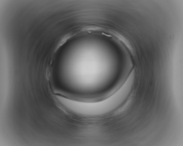 X0000113901377200910011334